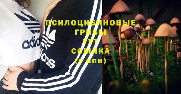 амф Приозерск